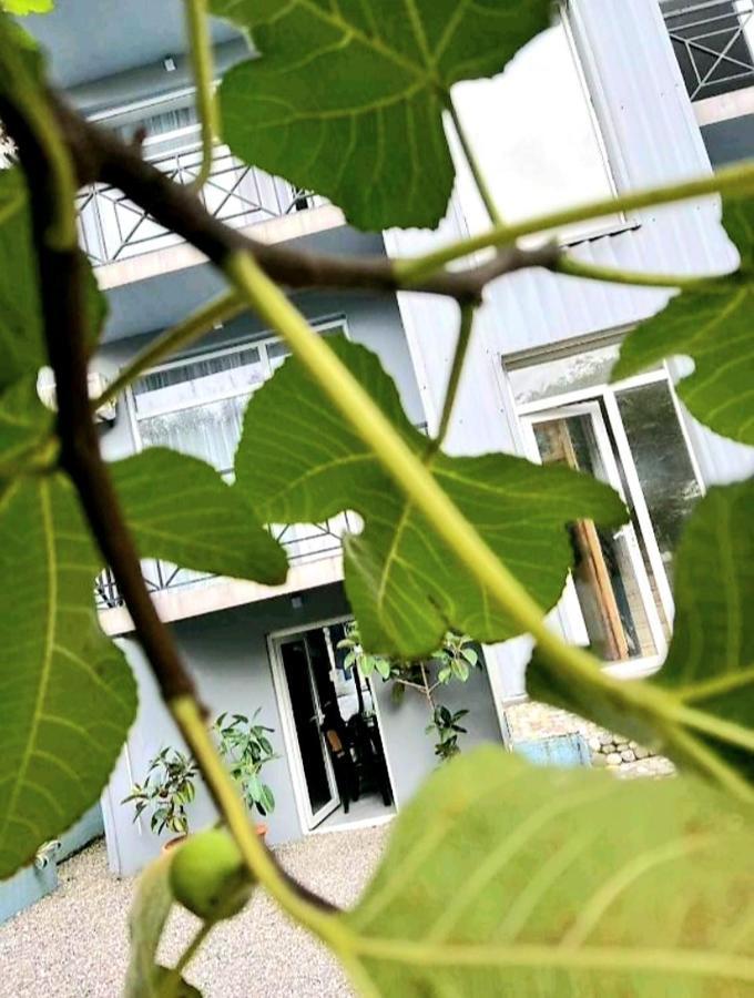 Rio Gonio Hotel Kültér fotó